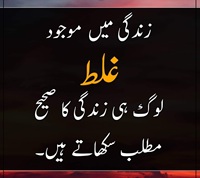 Zindagi may galat log hi Zindagi ka sahih matlab sikhatay hain